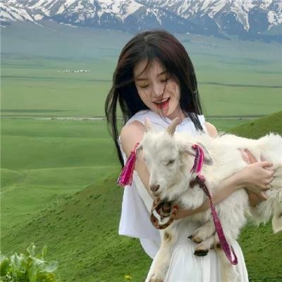 二八佳人花公子续集